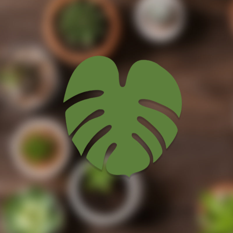 Pflanzentöpfe, die auch als Untersetzer dienen