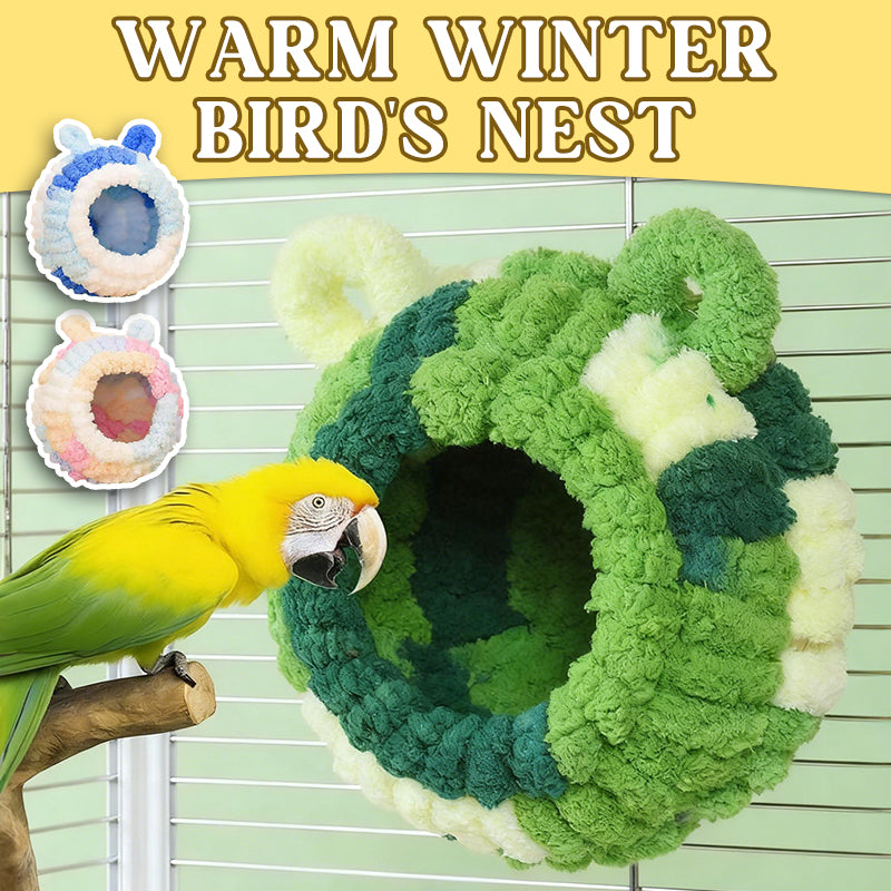 Vogelnester Zum Wärmen Im Winter