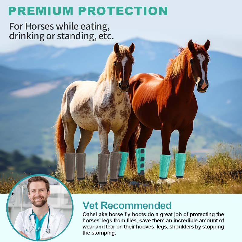 Atmungsaktive Mesh-Pferdefliegenschutz-Leggings 🐎✨