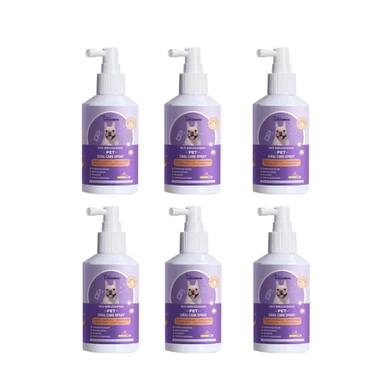 💥Das Angebot🔥Zahnreinigungsspray für Hunde und Katzen