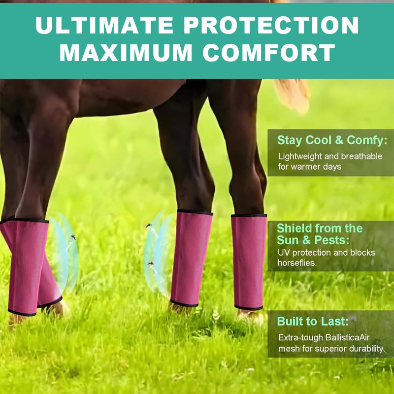 Atmungsaktive Mesh-Pferdefliegenschutz-Leggings 🐎✨