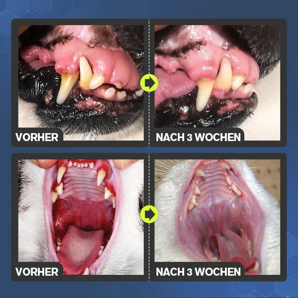 💥Das Angebot🔥Zahnreinigungsspray für Hunde und Katzen