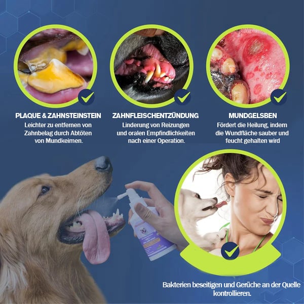 💥Das Angebot🔥Zahnreinigungsspray für Hunde und Katzen