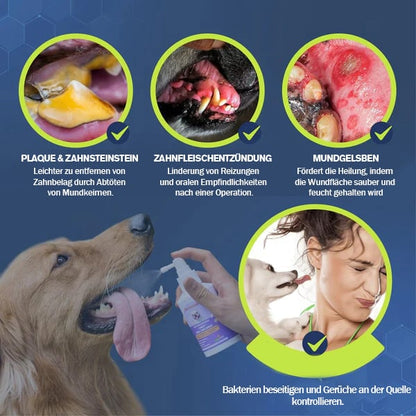 💥Das Angebot🔥Zahnreinigungsspray für Hunde und Katzen