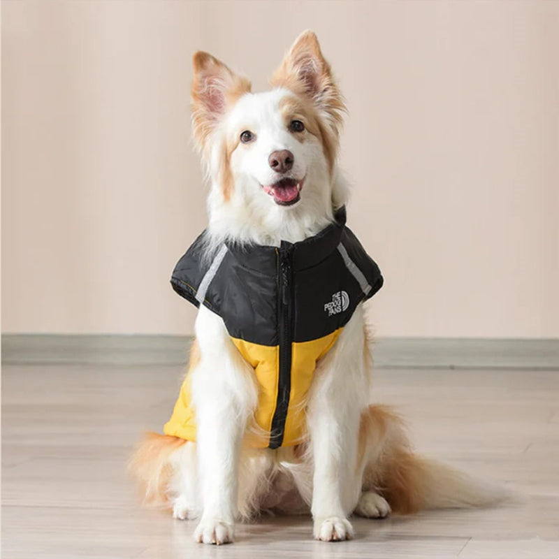 🐶Wasserdichter und winddichter Winterhundemantel