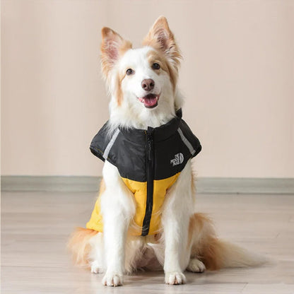🐶Wasserdichter und winddichter Winterhundemantel