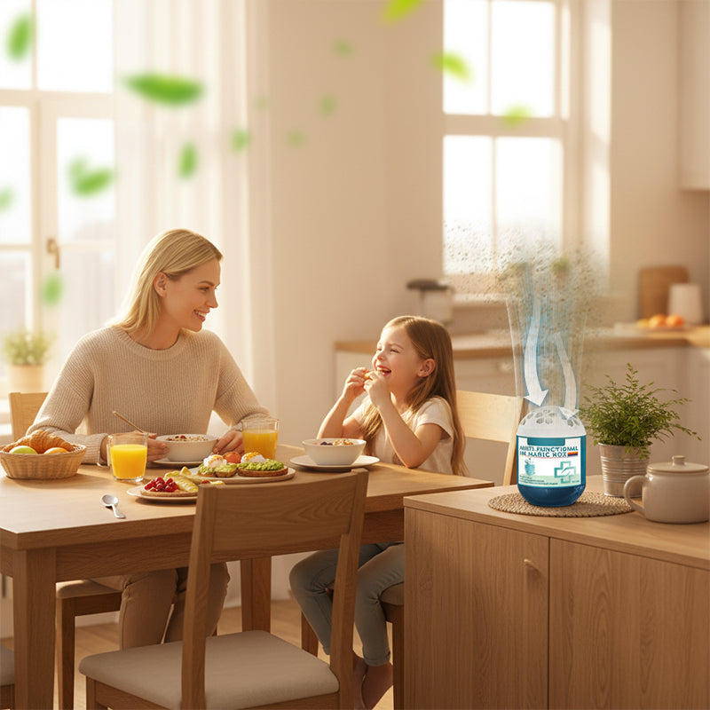 🔥 Zeitlich begrenzter Vorverkauf ⏰ Magische Box zur Luftreinigung und Staubentfernung für Innenräume 🏠🌿