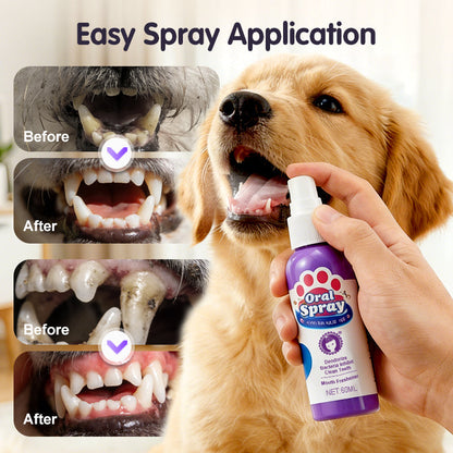 Zahnreinigungsspray für Haustiere