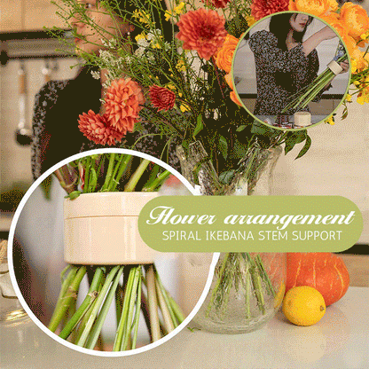 🎄49% OFF🎄Spiralförmige Ikebana-Stängelhalterung