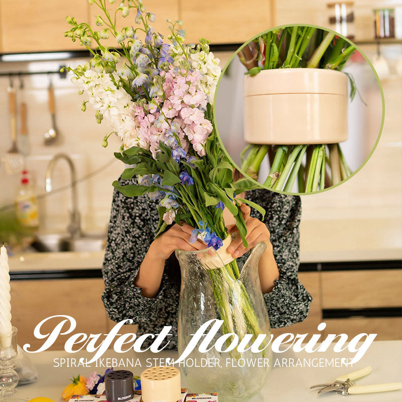🎄49% OFF🎄Spiralförmige Ikebana-Stängelhalterung